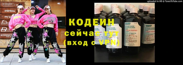 спиды Арсеньев