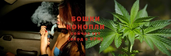 спиды Арсеньев