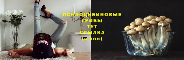 молекула духа Аркадак